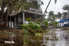 47% người Úc chịu ảnh hưởng của thời tiết cực đoan